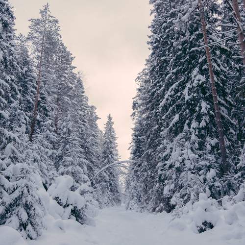 Photo #7072809