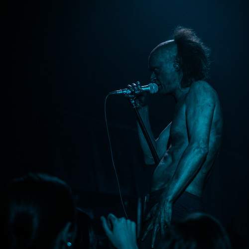 Photo #7072821