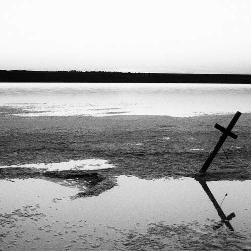 Photo #7072976