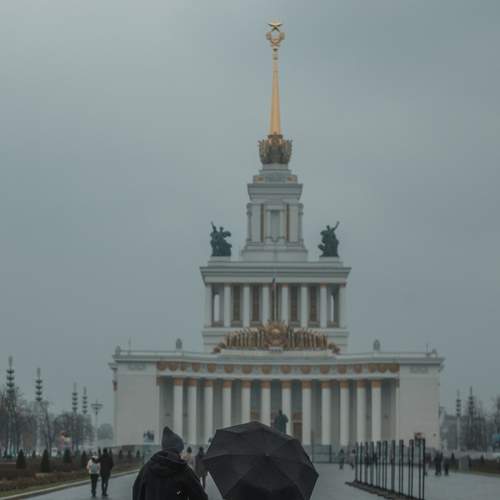 Photo #7073011