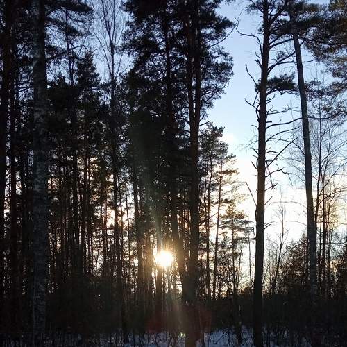 Photo #7073012
