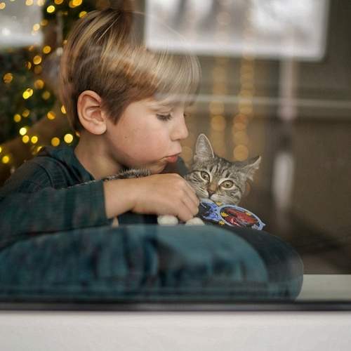 Photo #7073101