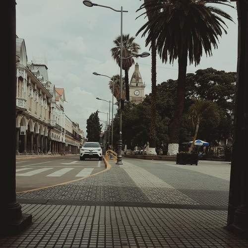 Photo #7073102