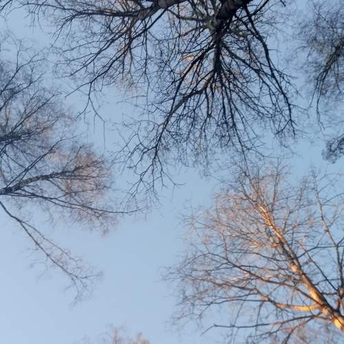 Photo #7073138