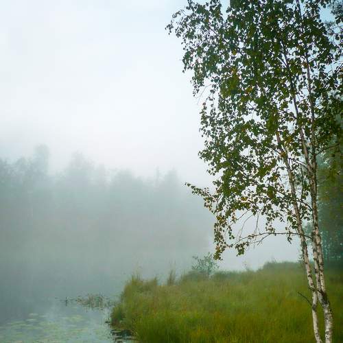 Photo #7073462