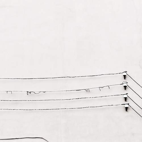 Photo #7073499