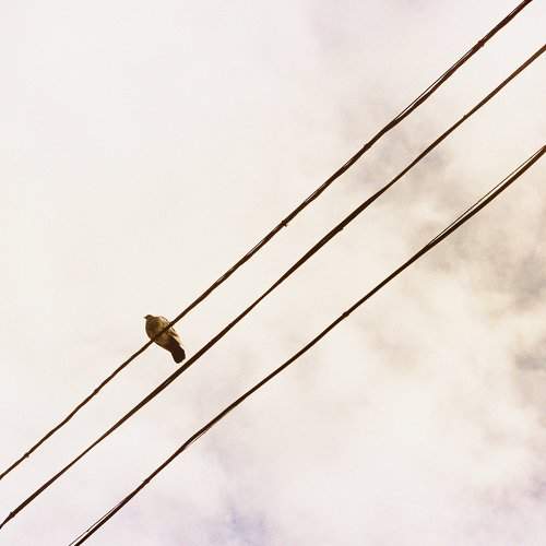 Photo #7073506