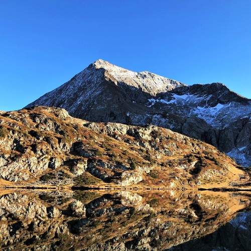 Photo #7073518