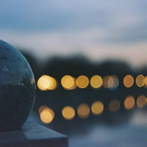 Photo #7073557