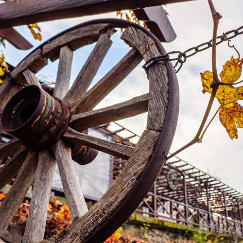 Photo #7073596