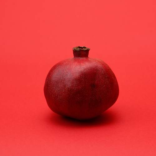 Photo #7073802