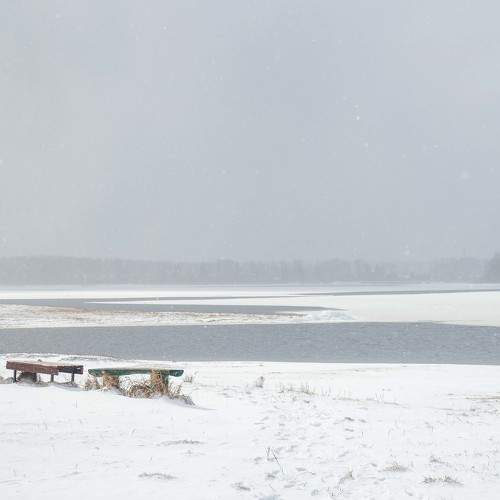 Photo #7074317