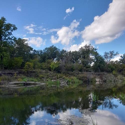 Photo #7074947