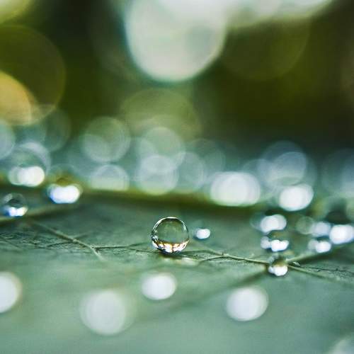 Photo #7075662