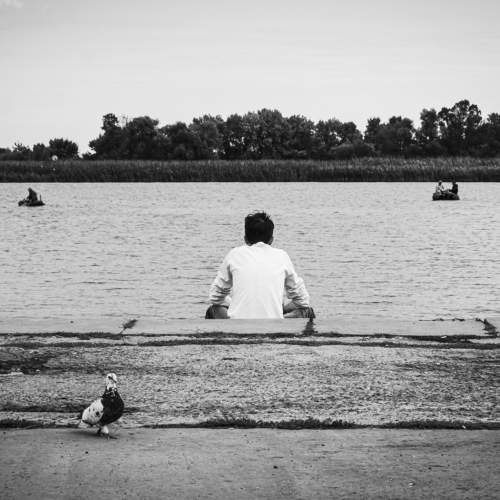 Photo #7075887