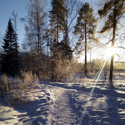 Photo #7076057