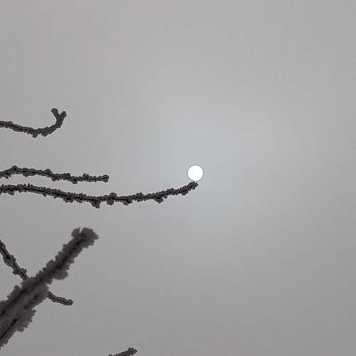 Photo #7076245