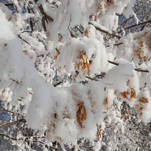 Photo #7076261