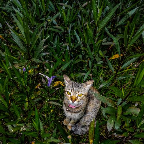 Photo #7076628