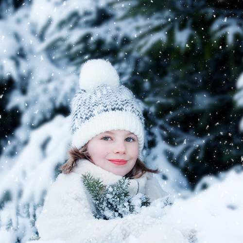Photo #7076823