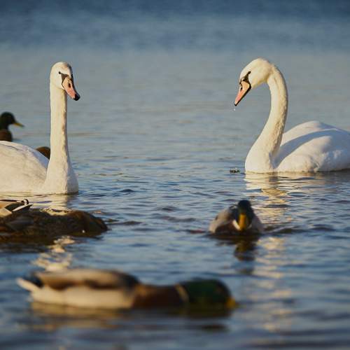 Фотография #7076911