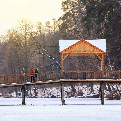 Photo #7077105