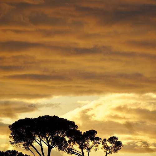 Photo #7077112