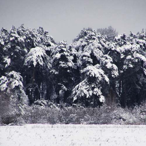 Photo #7077119