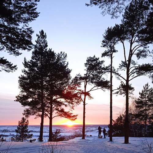 Photo #7077160