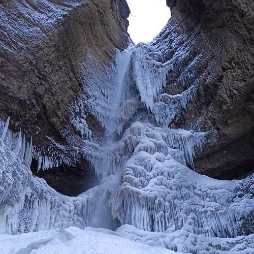 Photo #7077229