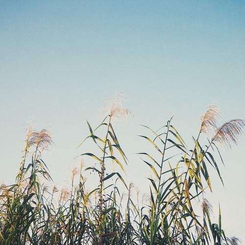 Photo #7077279