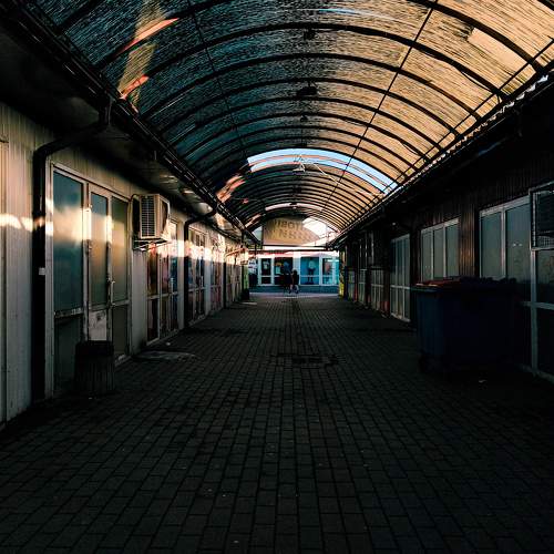 Photo #7077288