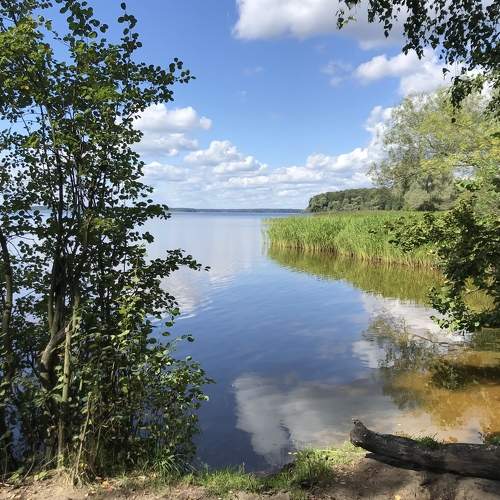 Photo #7077457