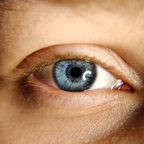 Photo #7077525