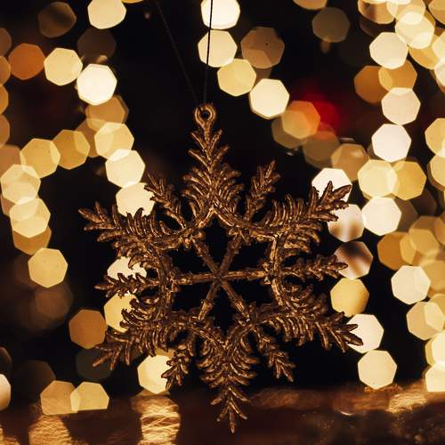 Photo #7077549