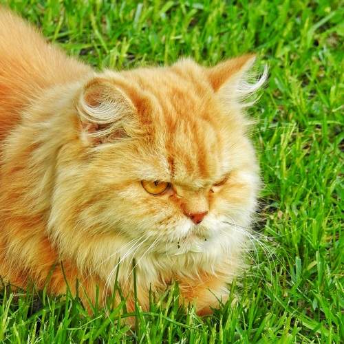 Photo #7077861