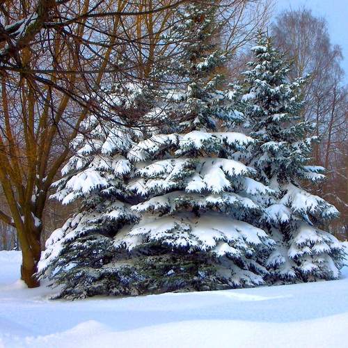 Photo #7078698
