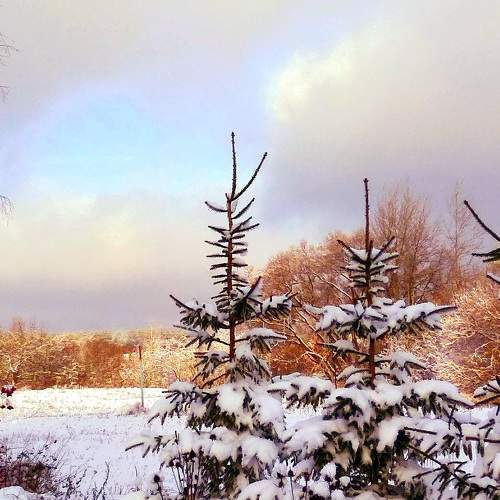 Photo #7078700