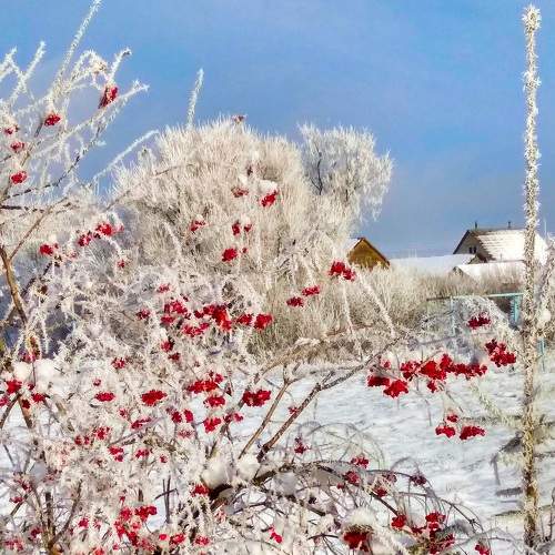 Photo #7078711