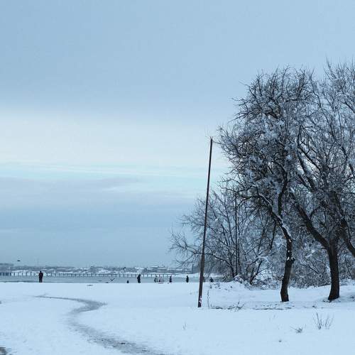 Sea and snow