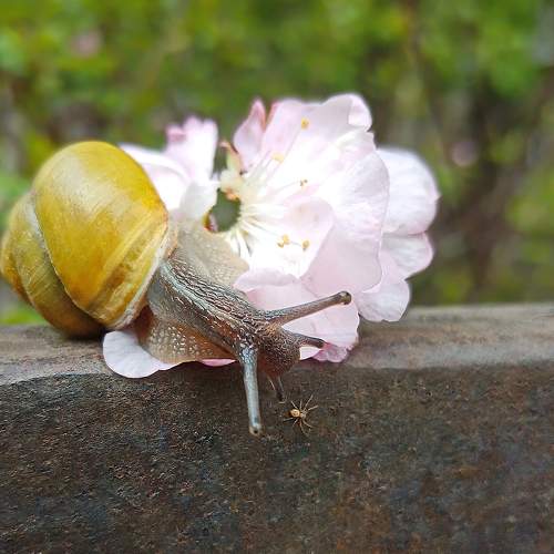 Photo #7079140
