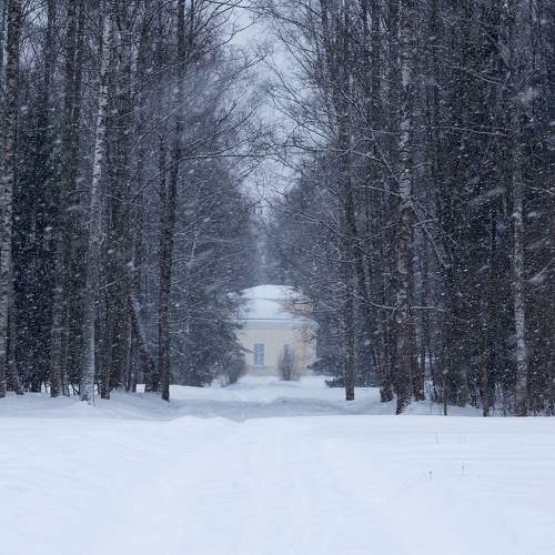 Photo #7079187