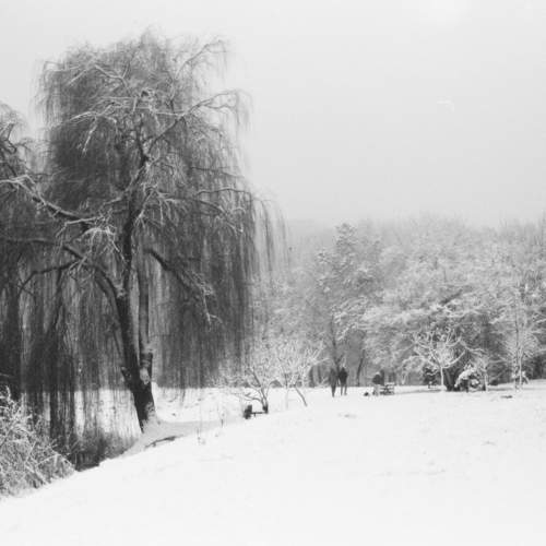 Фотография #7079263