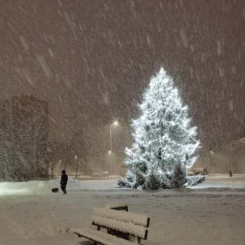 Photo #7079547