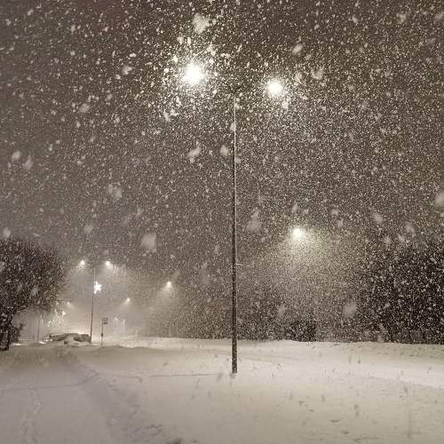 Photo #7079575