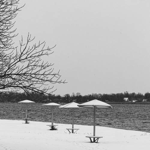 Photo #7079584