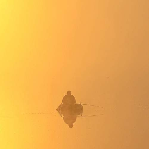 Photo #7079679