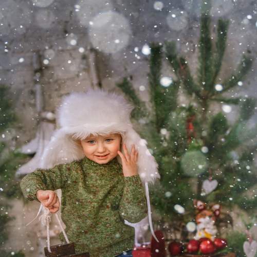Photo #7080302