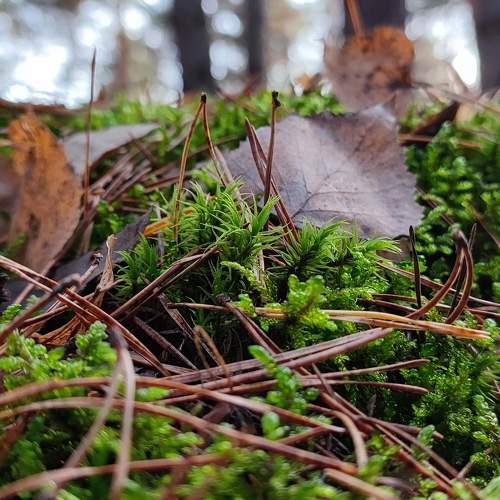 Photo #7080344