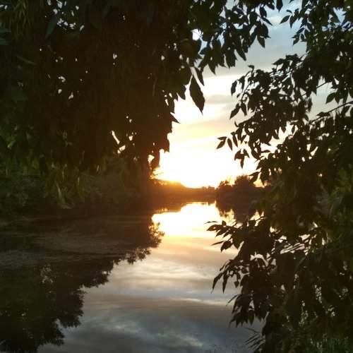 Photo #7080581